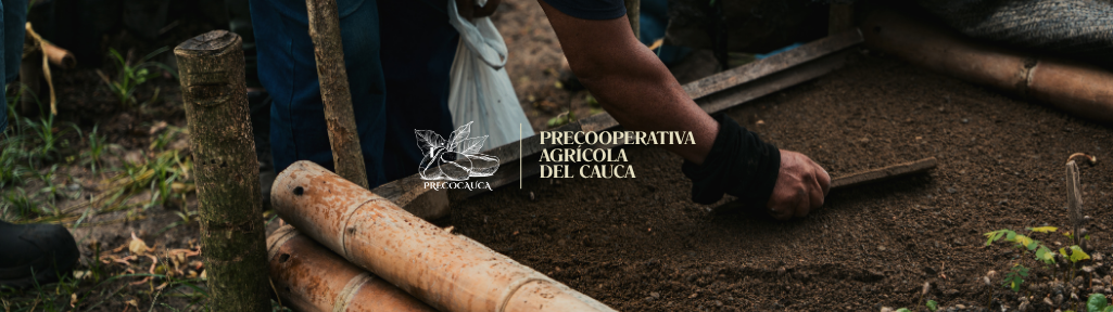 Gobierno Corporativo e Infraestructura Precocauca