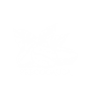 Precocauca Logotipo Oficial